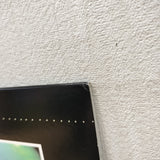 Lenny Japan LD Laserdisc NJL-99250 Dustin Hoffman