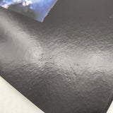 The Siege Japan LD Laserdisc PILF-2850