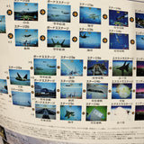 Air Combat 22 Japan LD Laserdisc VILL-103 Namco