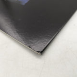 The Siege Japan LD Laserdisc PILF-2850