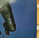 Videodrome Japan LD Laserdisc SF078-0062