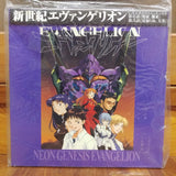 Neon Genesis Evangelion Japan LD-BOX Laserdisc KILA-149