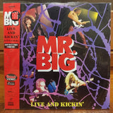 Mr. Big Live and Kickin' Japan LD Laserdisc AMLY-8045