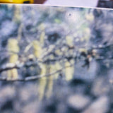 The Deer Hunter Japan LD Laserdisc PILF-2719