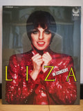 Liza Minnelli in Concert VHD Japan Video Disc VHM58011